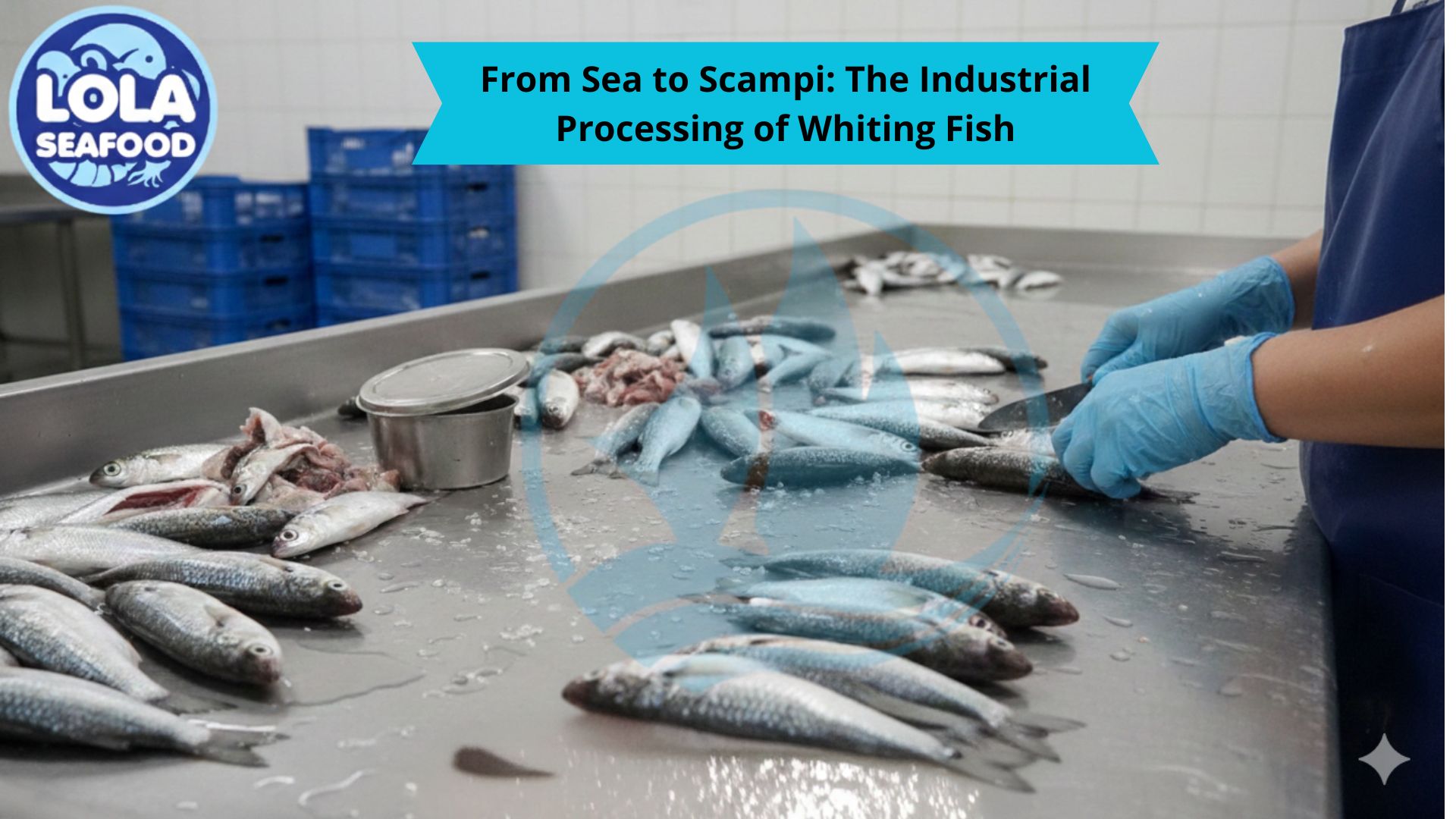From Sea to Scampi: The Industrial Processing of Whiting Fish